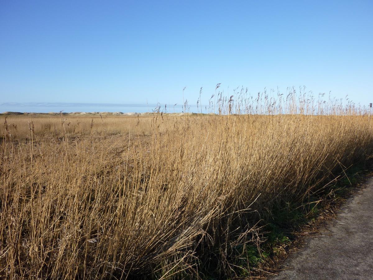 Ferienwohnung Nis Randers Sankt Peter-Ording Esterno foto